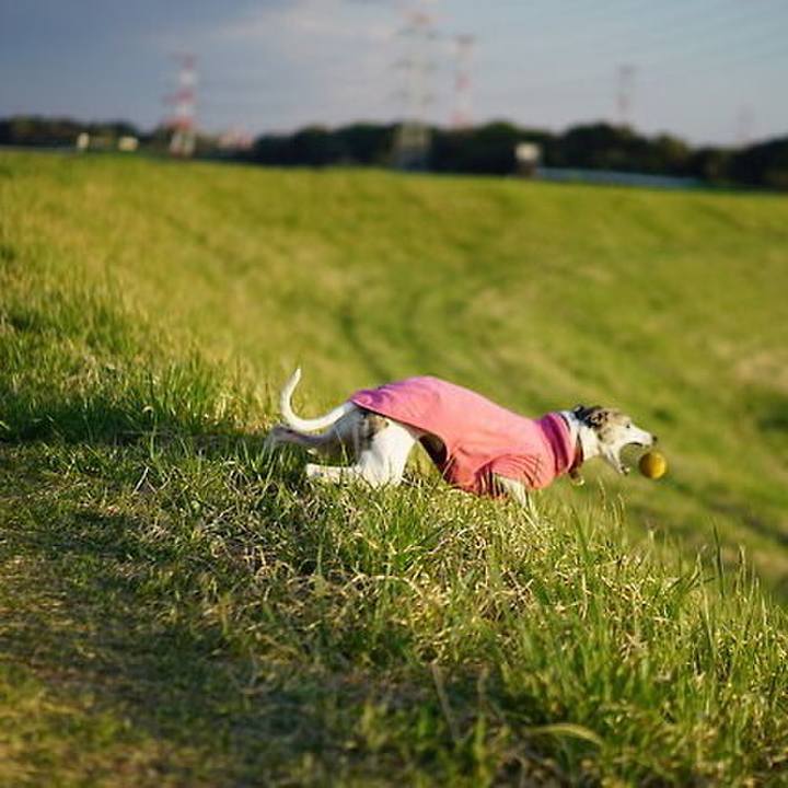 B80051df 04f5 47ee bac4 3c193be7447d 1525693296521