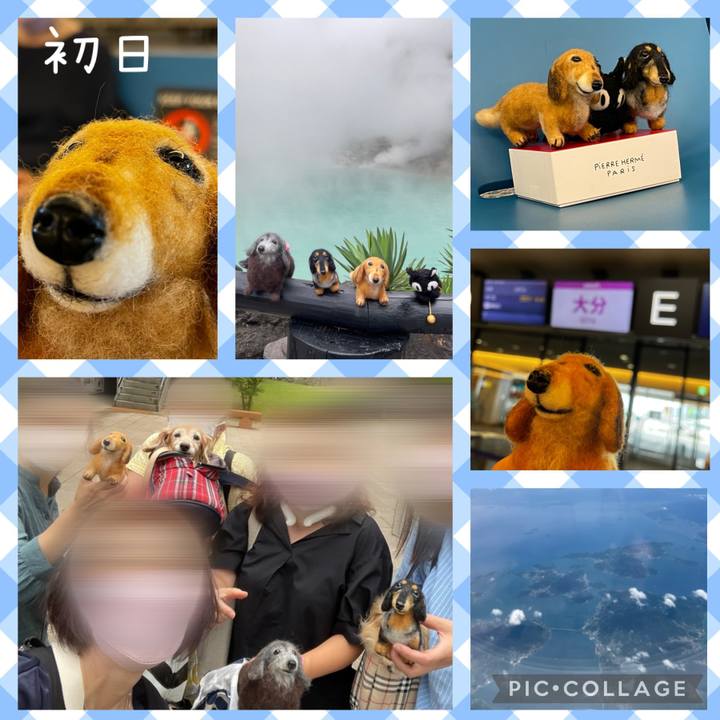 B80062c4 d24c 4d70 92bc c6d3b6378f9d 1658233960396