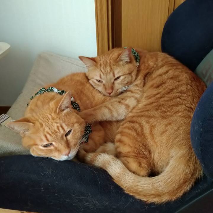 B8006e6f 21b0 4253 a9e9 fdbc7c76b5e4 1579929122668