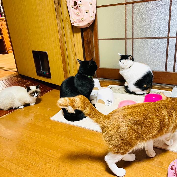 B8008452 f85f 4a25 a2f5 260a972eee13 1682341077278