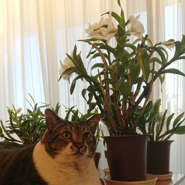 B800ca11 b34f 4f0a a3a2 6f5f380401fa 1574978949171