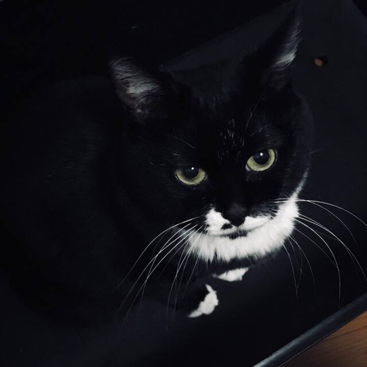 B8014cde cca8 482e 9cc4 019ee04dc96c 1508673221182