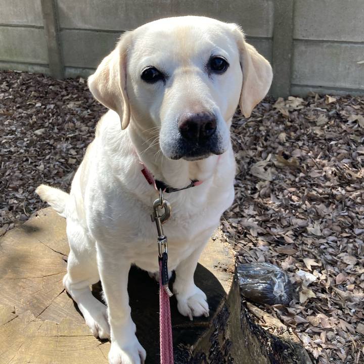 B8017294 0d19 4f9e a594 dbcfb35b0009 1745040360924