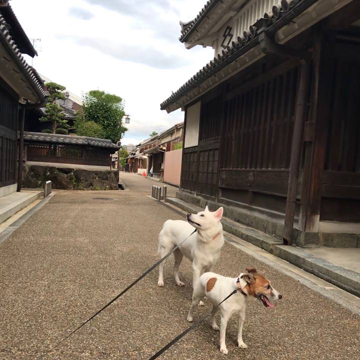 B8019c21 3624 4460 b3b1 e7a6e3ecc8e0 1534759848568