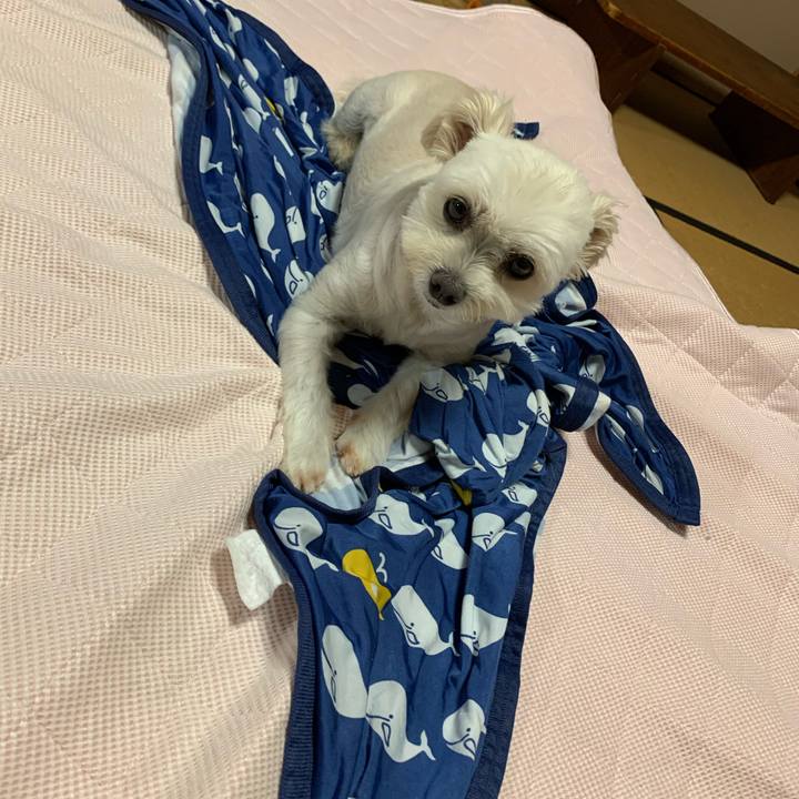 B801b015 f682 42bb 97ba 51b135e0b35b 1629283934019