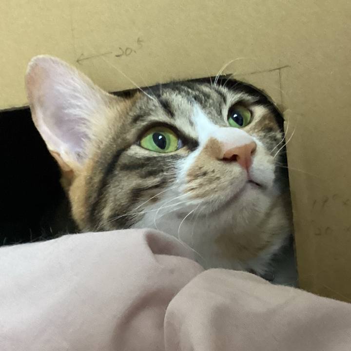 B801d030 2955 4922 a137 c0a21b5c52a3 1679107099208