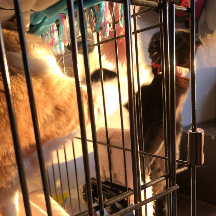 B801e7d5 212d 4a06 b82e 9db941f184be 1606912830673