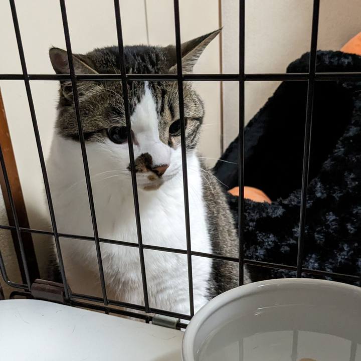 B801ee85 60d9 49f1 af9e 3ddc0d5b579f 1716044830234