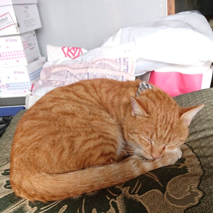 B801f9c8 b5aa 48ca 80d8 555d04591ffe 1571533697332