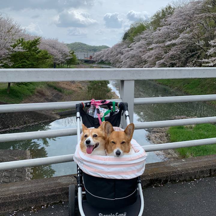 B8022899 2aaa 4172 90bd ed6c52145df1 1712893945263