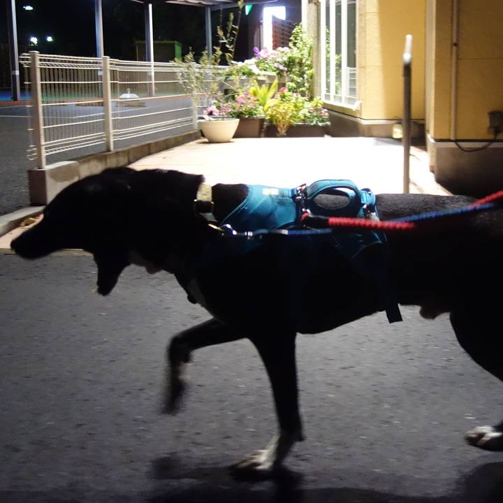 B802426b bafb 47b8 b443 5cadd98f23bc 1607165476245