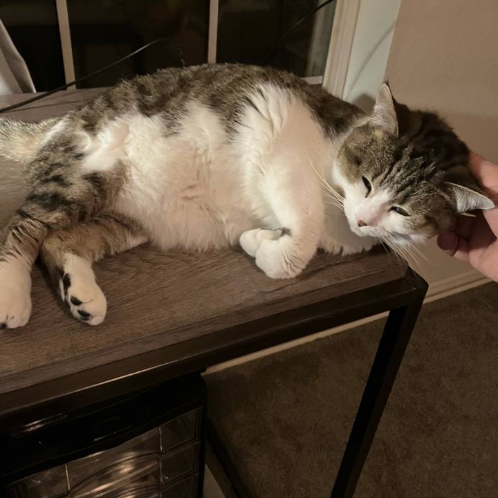 B8024f0d db69 4185 9869 2dc4d9d52b0d 1740425137114