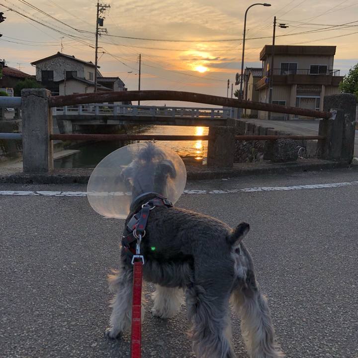 B802579e 694b 40c0 8e4c e2faca55aad6 1685204279327