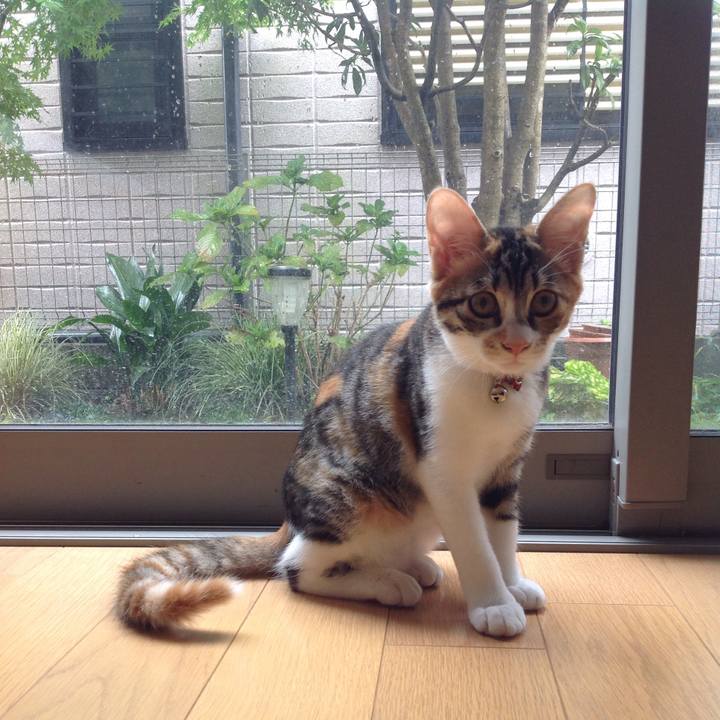 B80261b7 1d21 42e4 98ab 8d438cb186c0 1630716722398