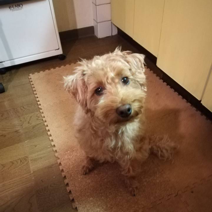 B8027d7f b43a 4d5f 9138 fe4e4d207f53 1525693671438