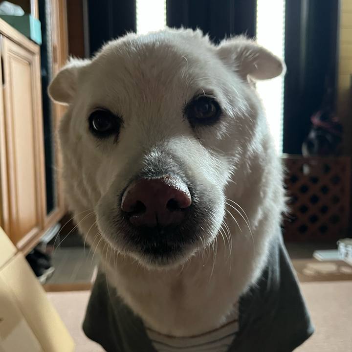 B802af56 f10a 4eb1 a947 5965bf4a6807 1765584234563