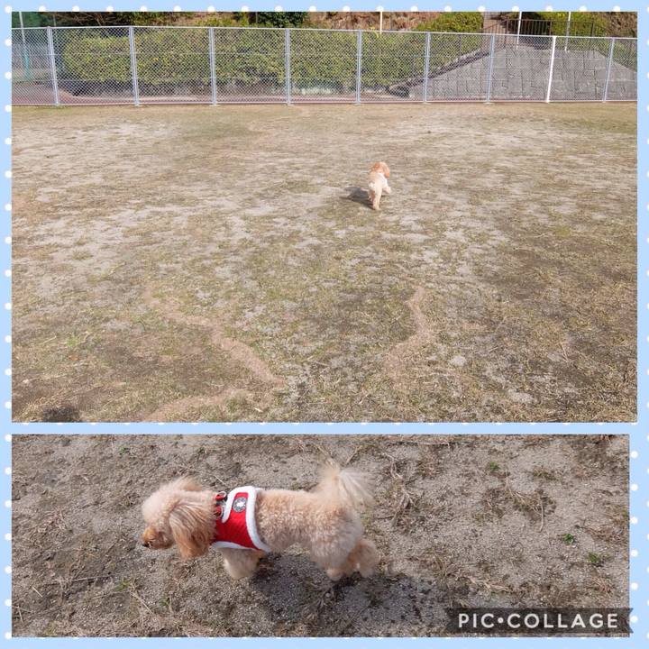 B802d6a7 0fa2 48c9 b7ad 28538fc7f158 1544231938217