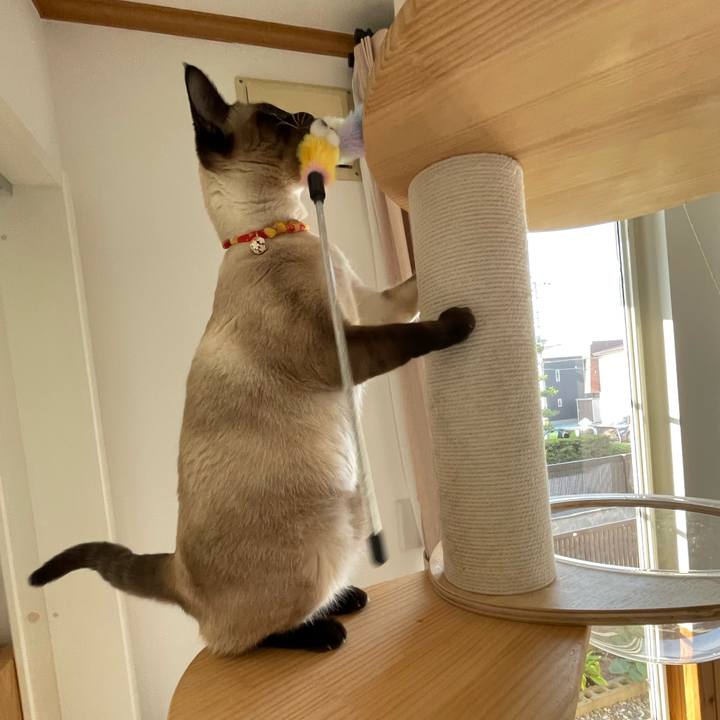 B802f2fc 96a1 4a63 a232 79141960690e 1719696913957