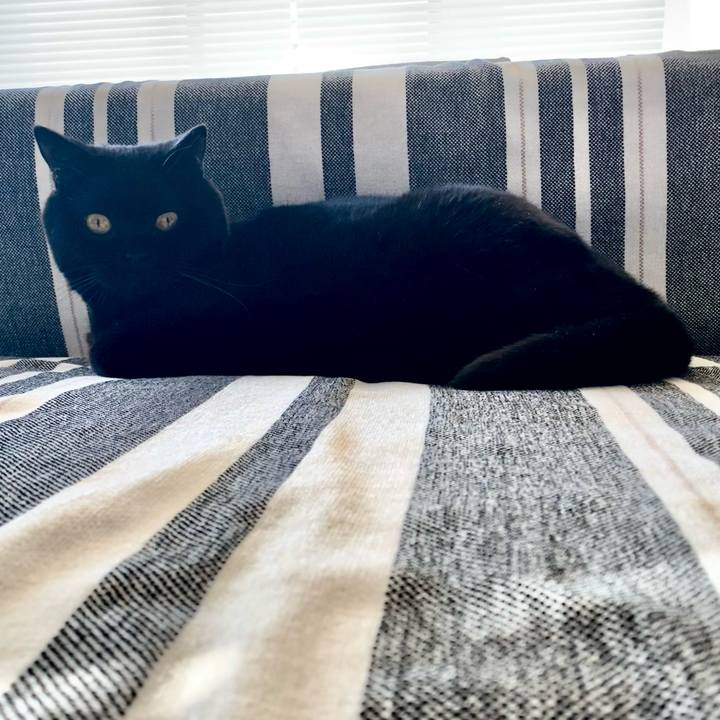 B8032bab c218 4cc6 bbb1 7c448046c900 1766899872040