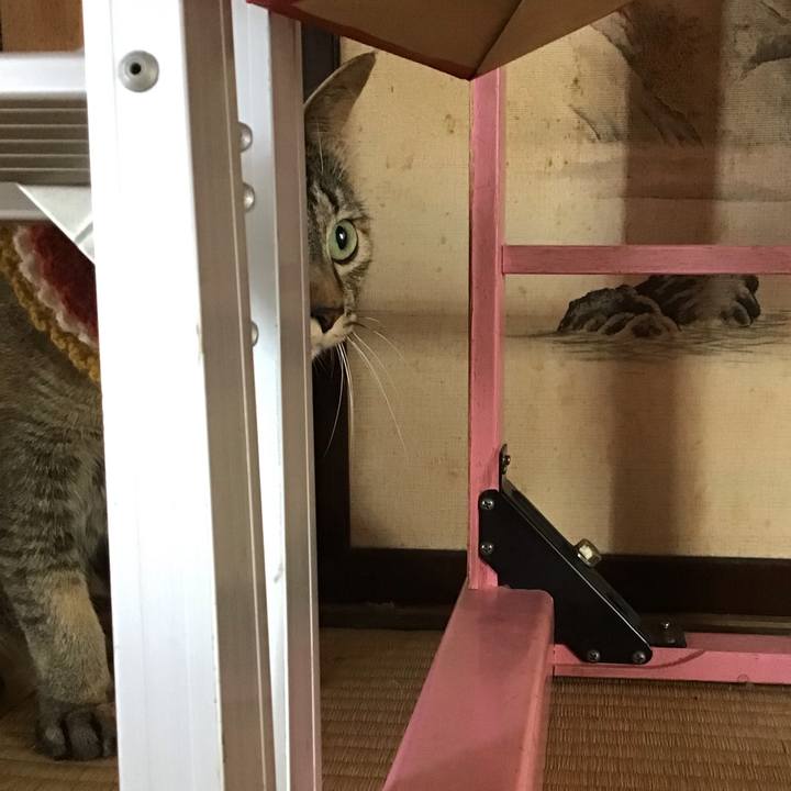 B80345da b165 453c 9f92 d0533c96d0ca 1623804139013