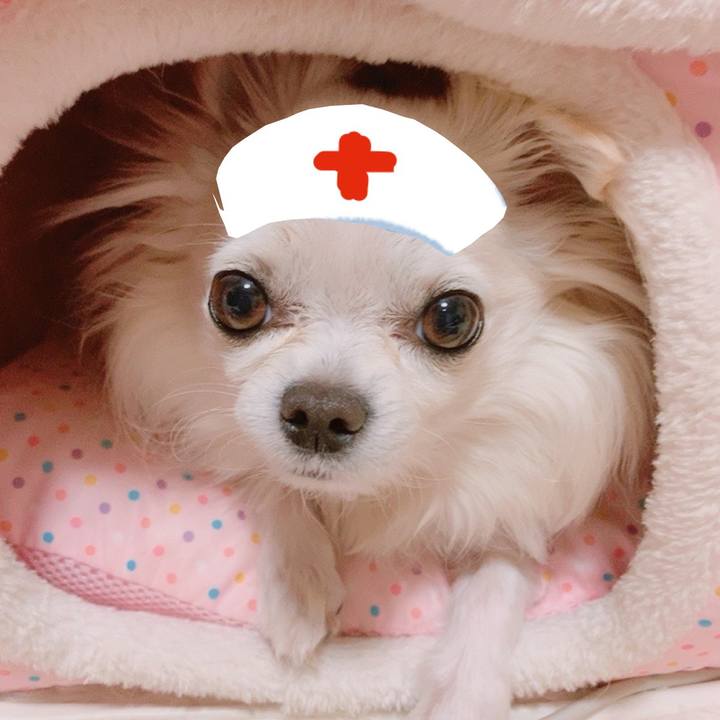 B8035021 5d81 4d2f a394 4a0949b30d68 1641831893086