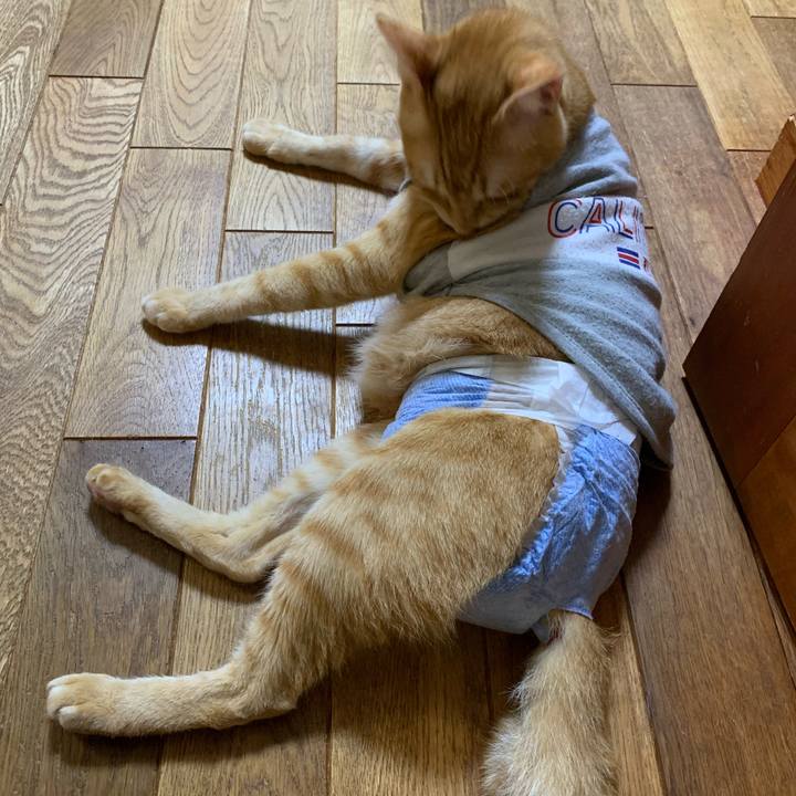 B8038176 65ab 4e5f 8d5d c4a13996eba4 1632220425760