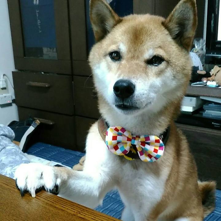 B80392c4 d679 4051 a974 307892c59fdc 1565512929774