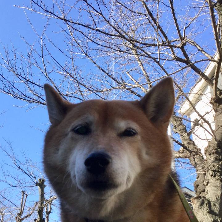 B804180b 4e2a 4e86 9c58 cdd10dcb77a2 1577161285755