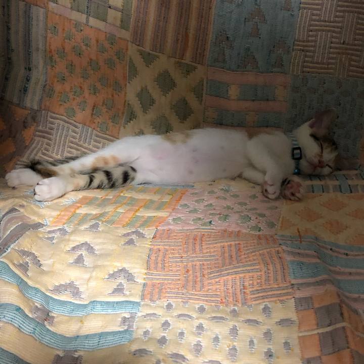 B804555c e2ee 4891 aee9 1ed2f38725c7 1562643554349