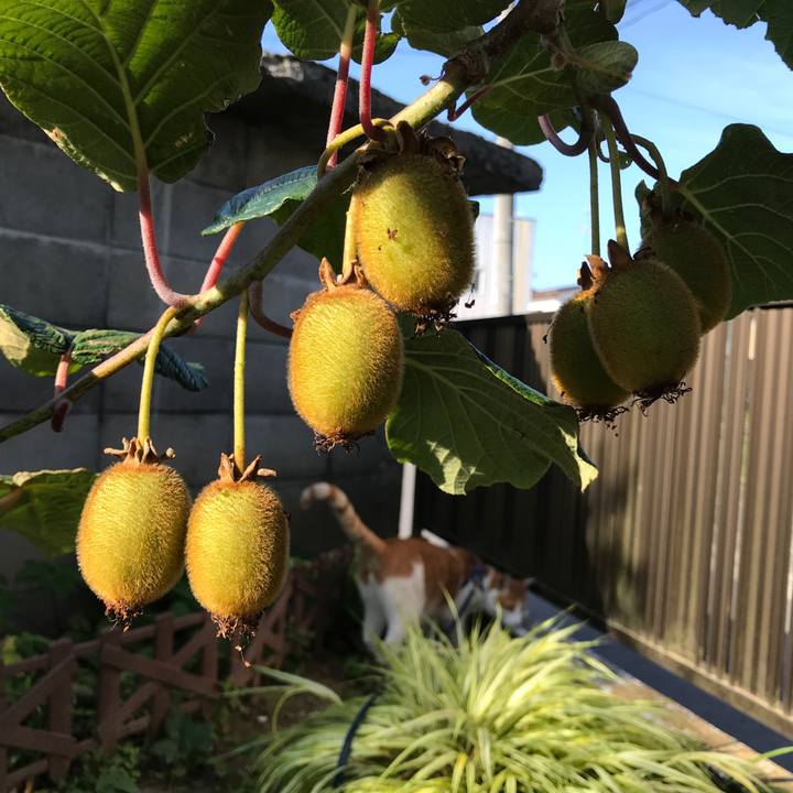 B804973f e7a5 4ae3 831c 324daf66589a 1530520489467