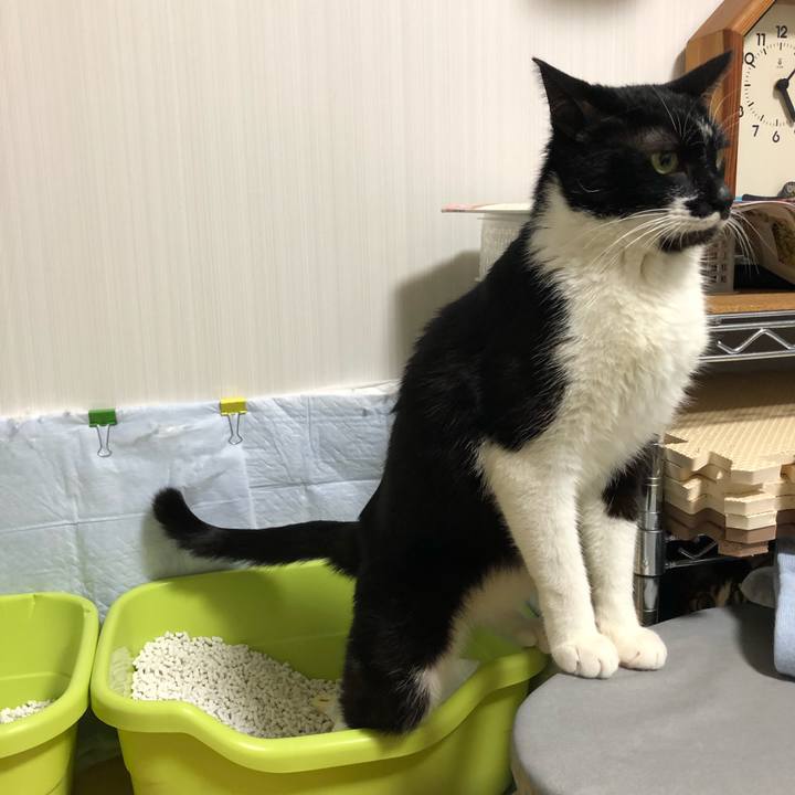 B804a62a 47eb 45ac a734 d1f0501ecffb 1552590715099