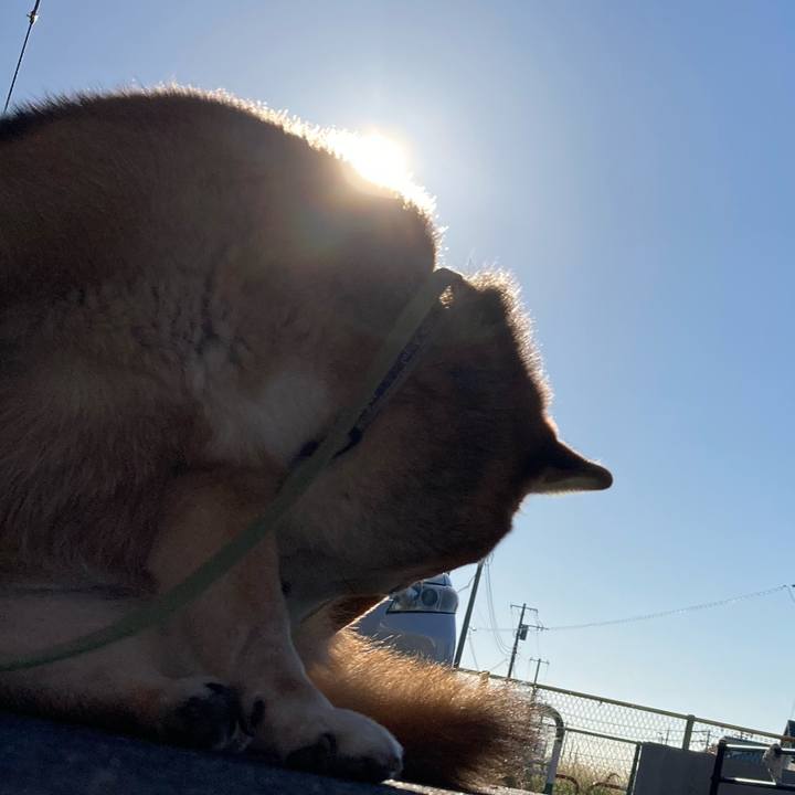 B804a7f7 02a1 4077 b345 e71e862d2061 1700612711688