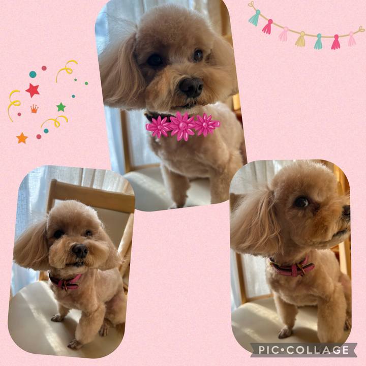 B804c04d f4bc 491f 8a37 fd472ab8ff36 1706935395972