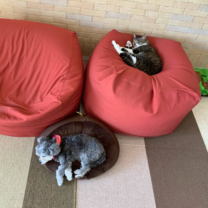 B804f3e7 0c57 48b4 82aa 9dc3d05fc1ae 1548823585374