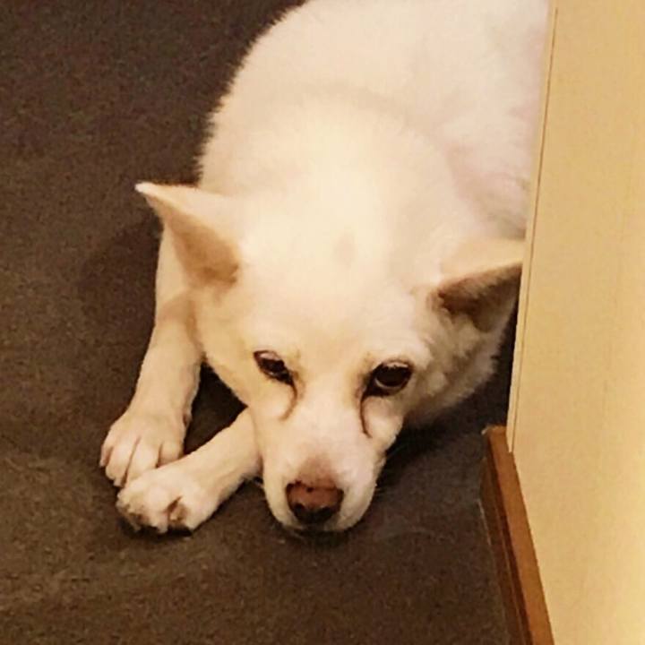 B80525e6 525c 486e 94d8 4358beec54be 1537959464728