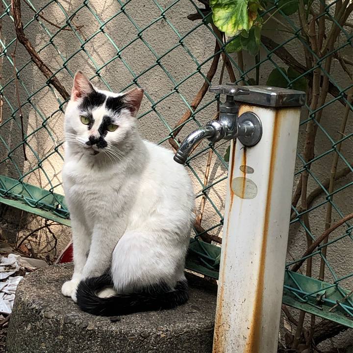 B8052afa 9a69 4e5b a817 8f5b08eeca6a 1555680905407