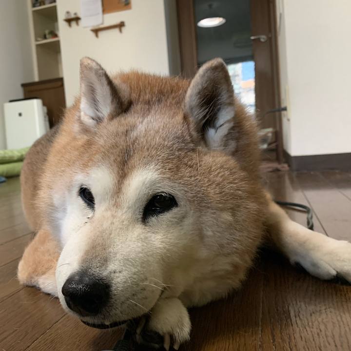 B8054ef2 6734 435f a9b5 e8ac7467b489 1644535277130