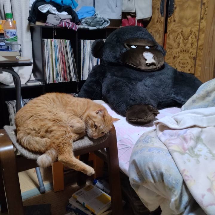 B8055557 e29e 48ca 850e 1b60839582fd 1716205892518