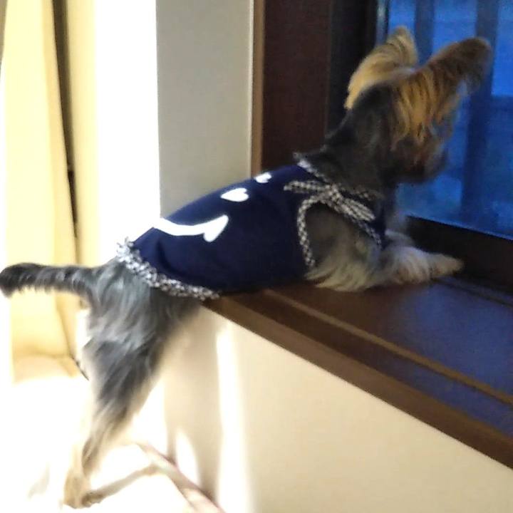 B8055788 4dcd 41c8 a1cb d9234aebb3e9 1592995674053