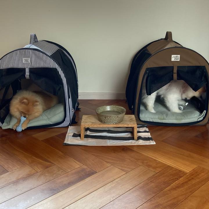 B80558f0 cd39 4600 b4ae 8767e82438bc 1693349654650