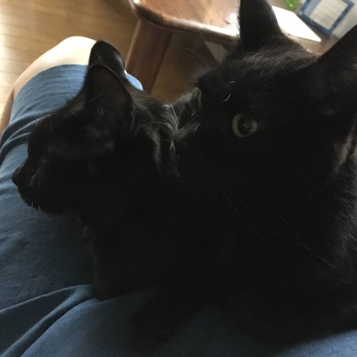 B8056fbf e66b 420a 92aa df3bf8a74683 1534926068819