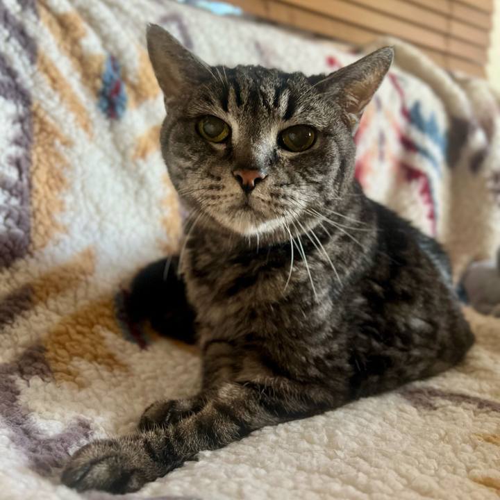 B8058405 5272 463e 9bca 76714ccca6d4 1763648717259