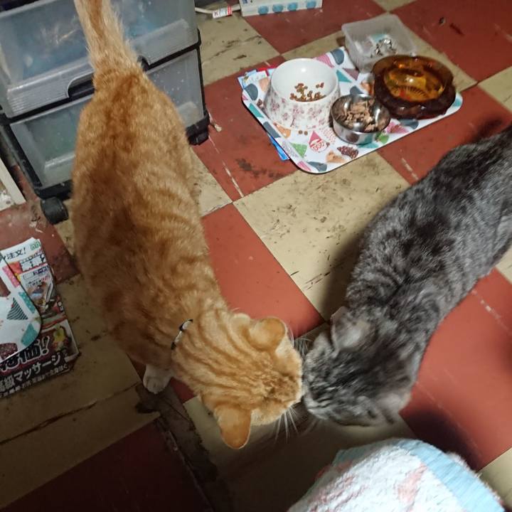 B80595e5 d98c 4531 83f8 c999d3fd903b 1588881627754