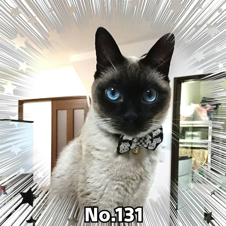 B8059e25 d8c4 47d1 8e30 d69ce1ed7266 1526337549626