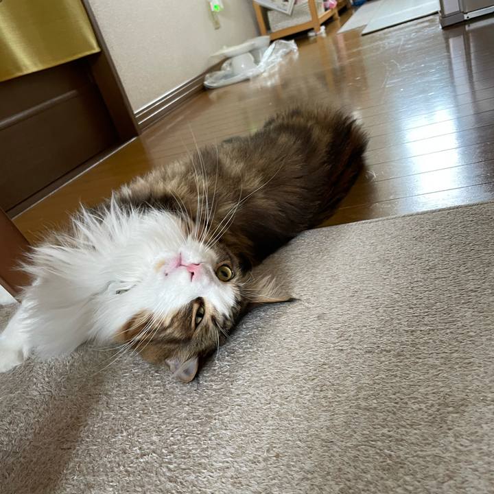 B805a412 2492 4af5 b1d7 8ecbaca644d6 1666501346131