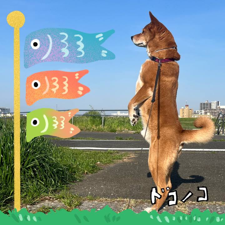 B805be47 6a42 4679 91d3 ee298bb4f478 1714887469410