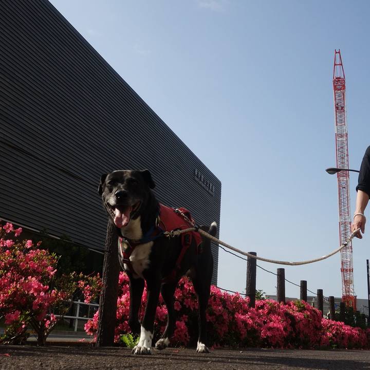 B805f822 c6fe 492d af28 379b9bc3676e 1684629165382