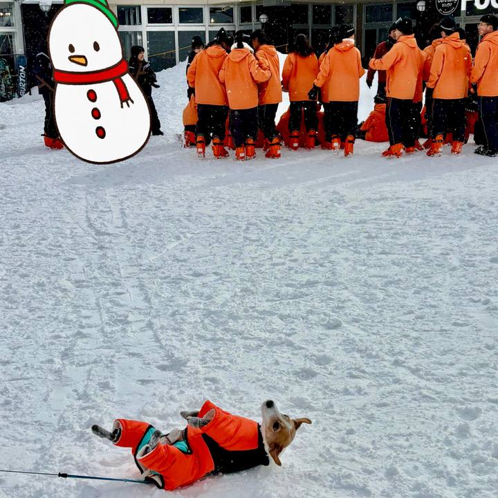 B8062c8a a0bf 41da b2ad f65e7336c900 1769164813592