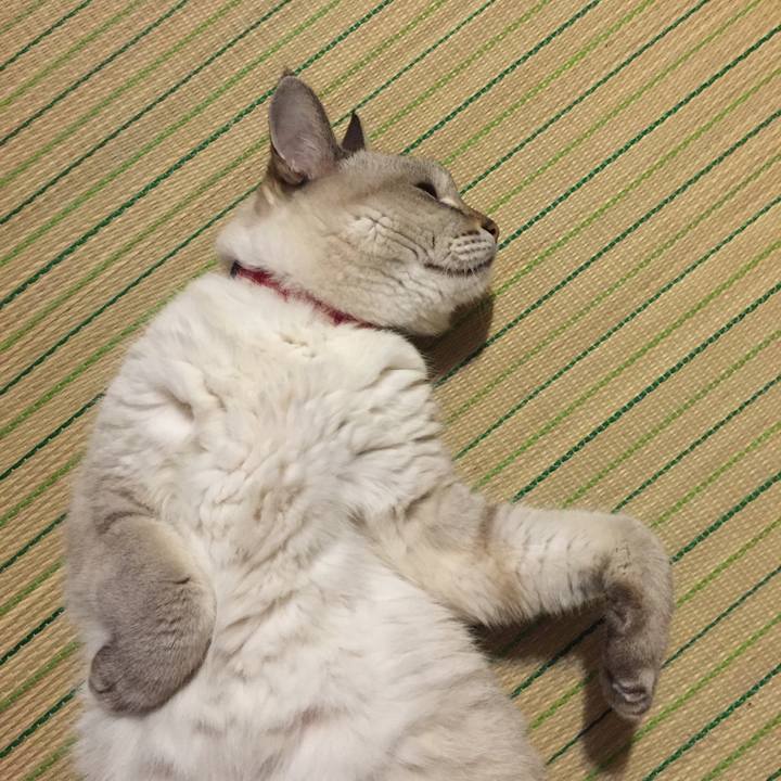 B8062d33 3b36 496e a1d5 11d4840ad3fa 1537613518462