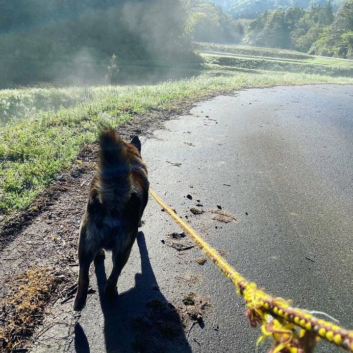 B8063a2c 5fc3 4c20 95b0 bb3cff524387 1620271930480